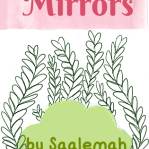 Mirrors Zine